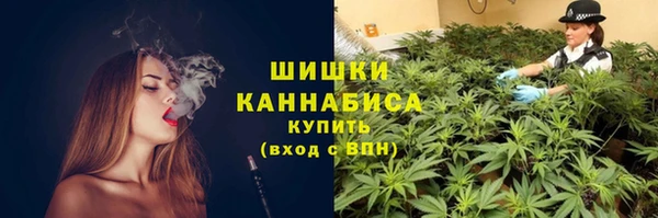соль курить ск Козловка