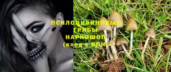 соль курить ск Козловка