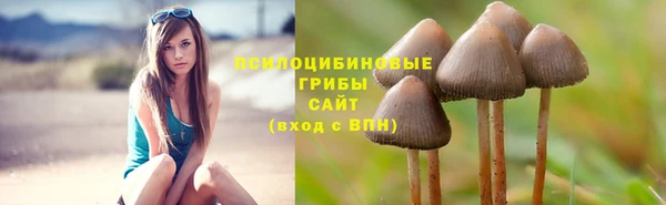 соль курить ск Козловка