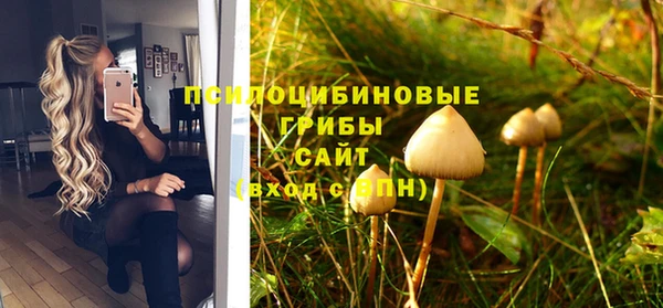 mix Козельск