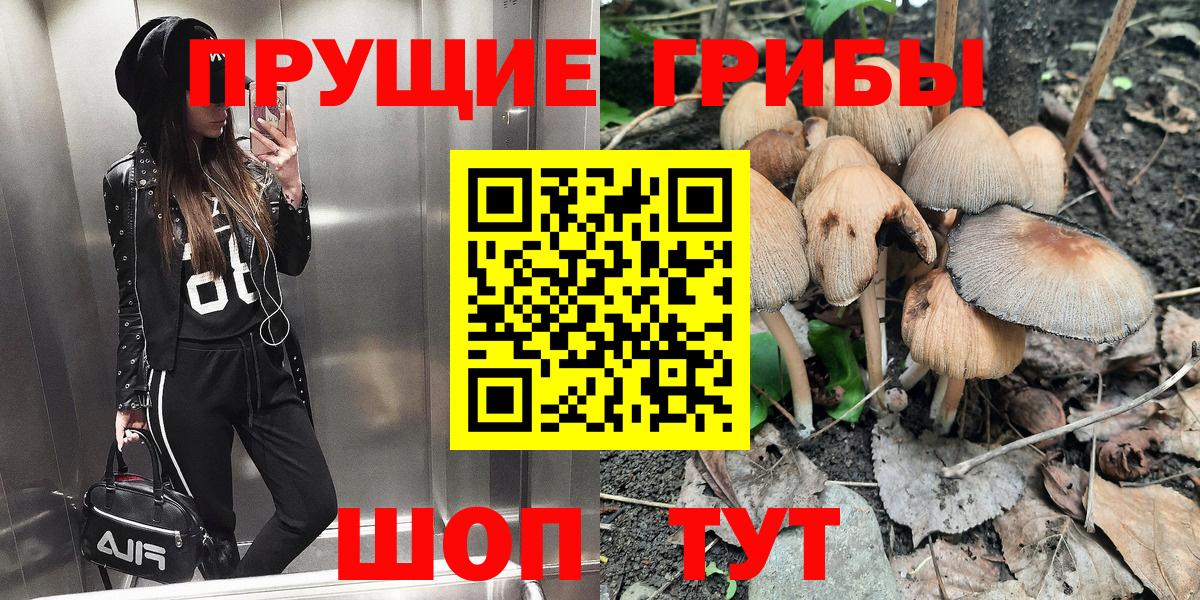 Псилоцибиновые грибы Cubensis Одинцово